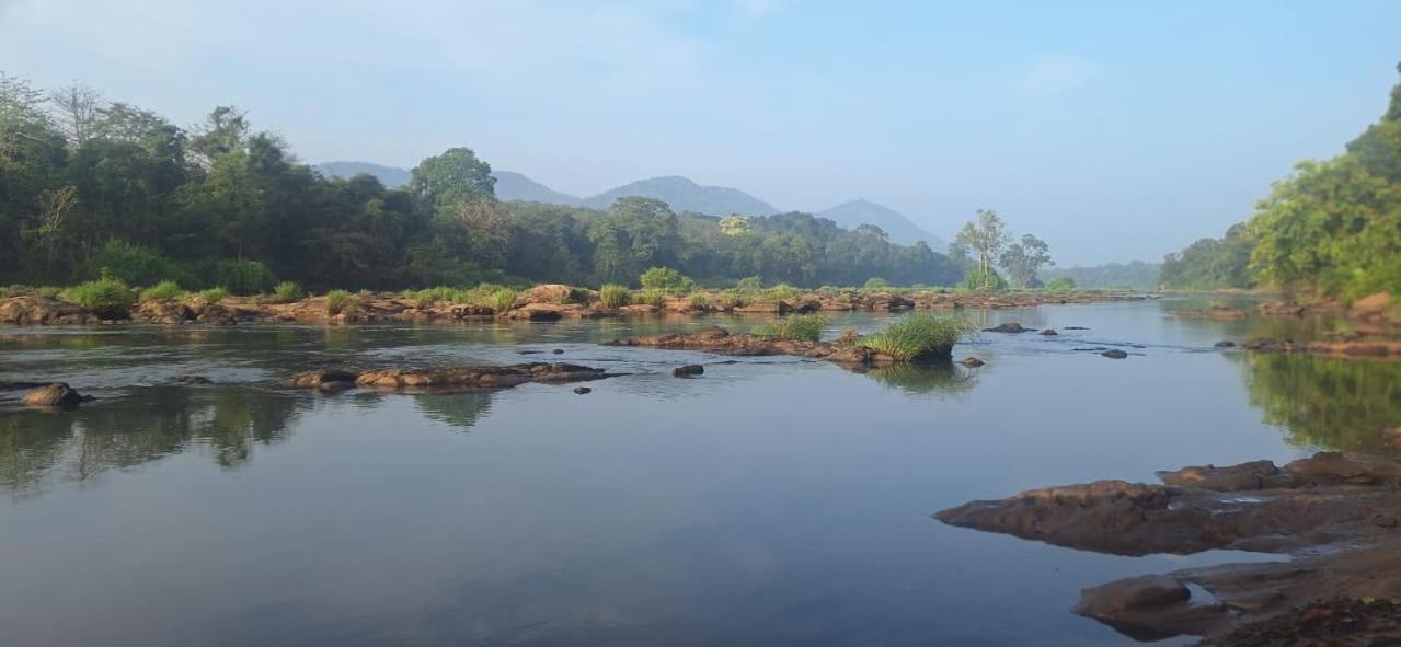 Апартаменты Jackroot Heritage Athirappilly Kallana Экстерьер фото